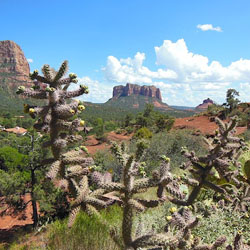 Sedona from Vegas Day Tour – Lessoned Learned